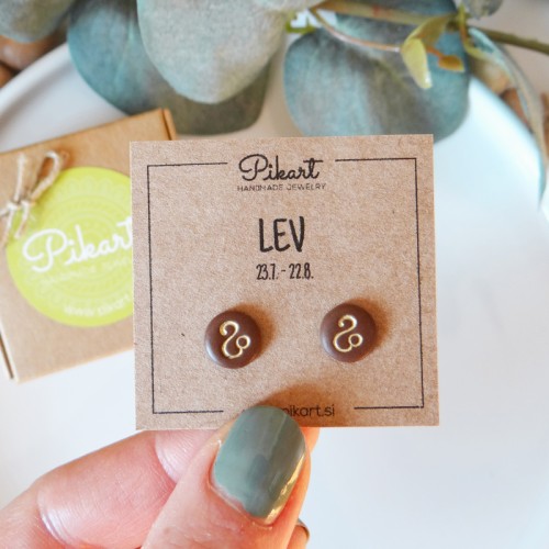 LEO zodiac earrings