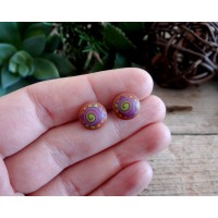 Cool Funky Stud Earrings with a Colorful Spiral Design
