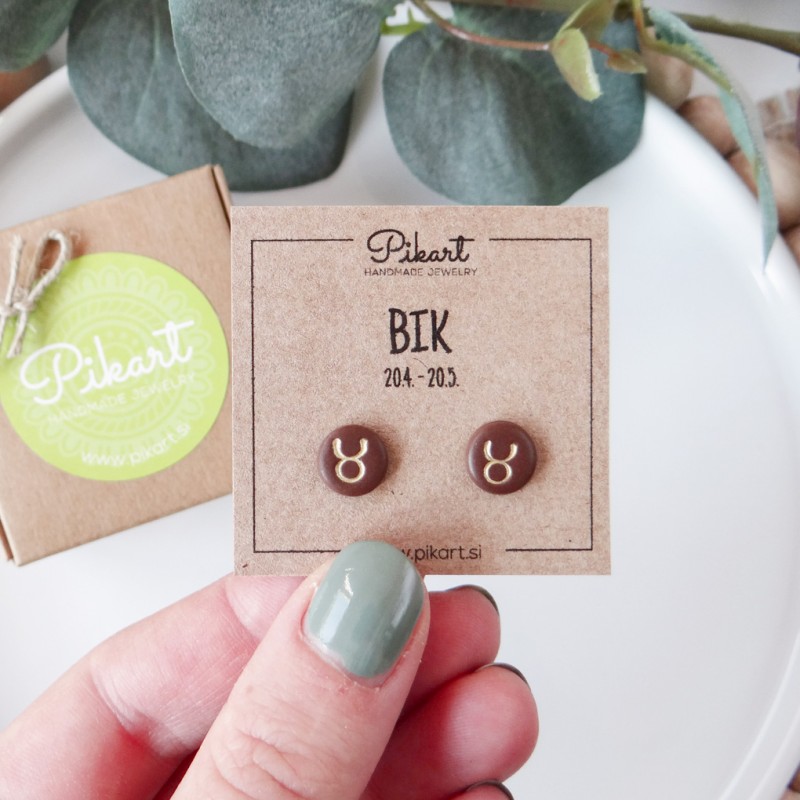 Zodiak uhani z astrološkim znakom BIK