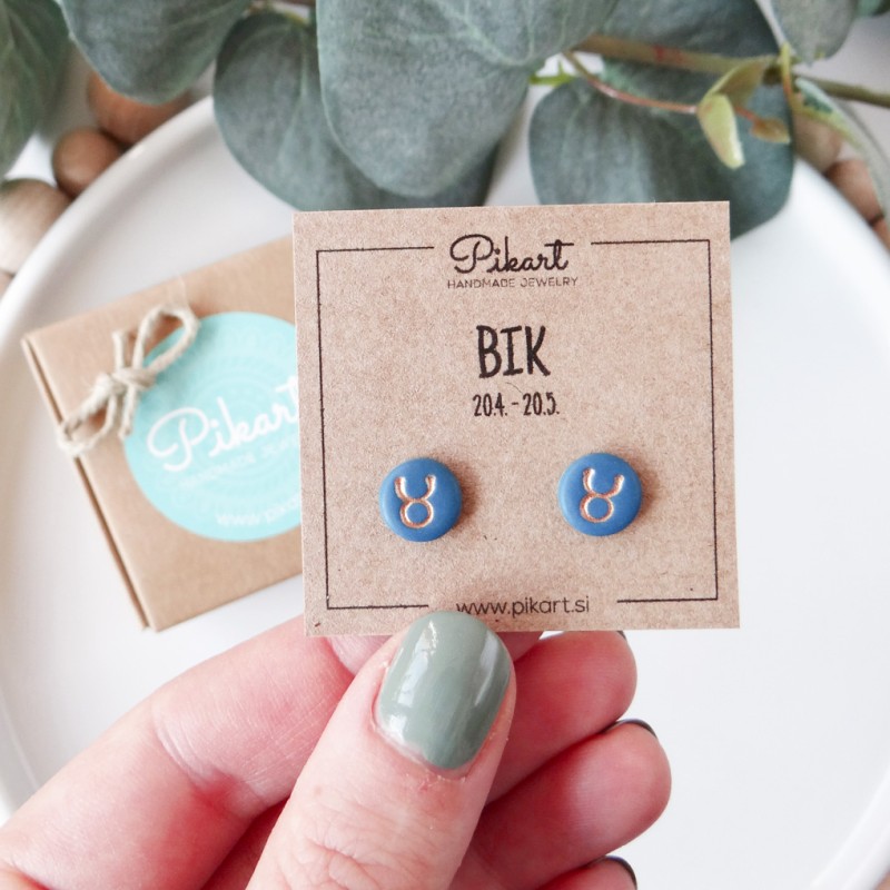 Zodiak uhani z astrološkim znakom BIK