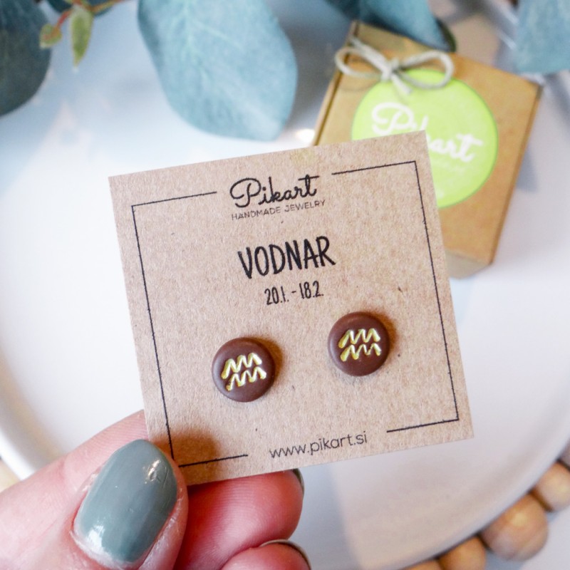 Zodiak uhani z astrološkim znakom VODNAR